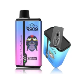 Bang 30000 Puffs Einweg Vape Großhandel 1